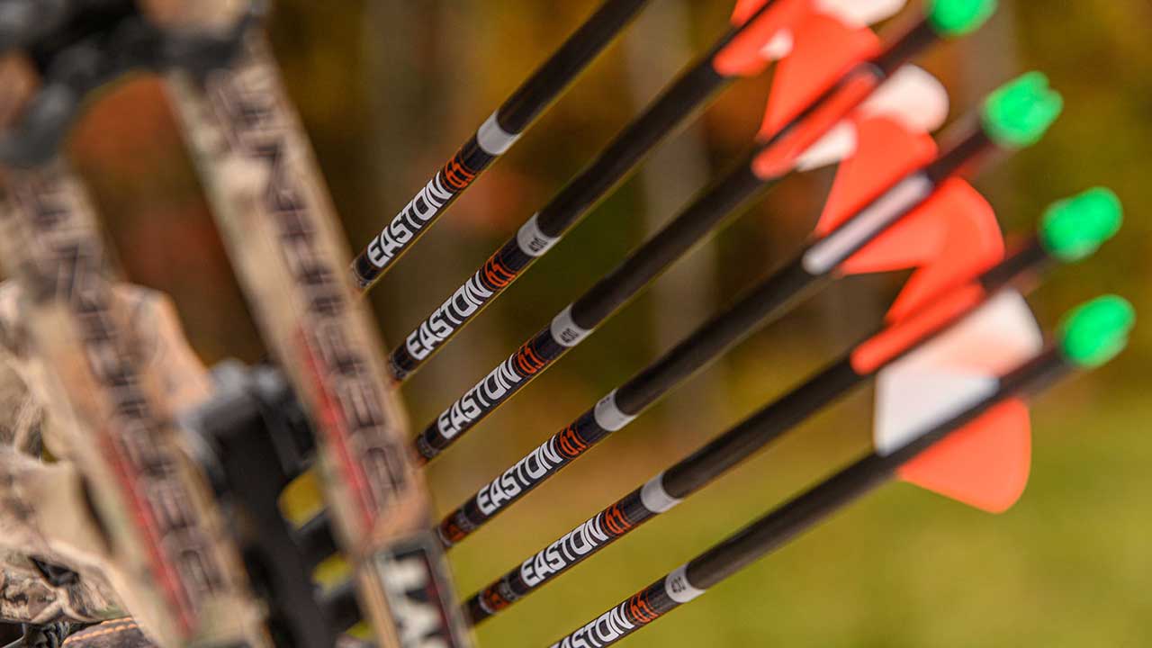bowhunting arrows for beginners