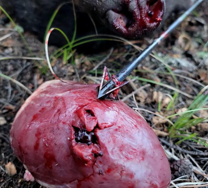 how to pick the right broadhead