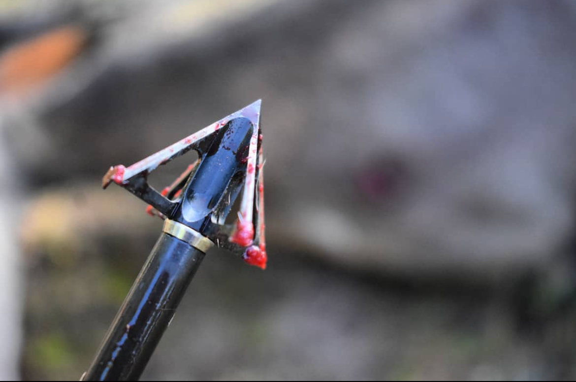 crossbow broadhead