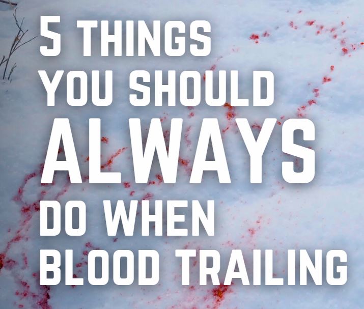 5 things bowhunters should always do