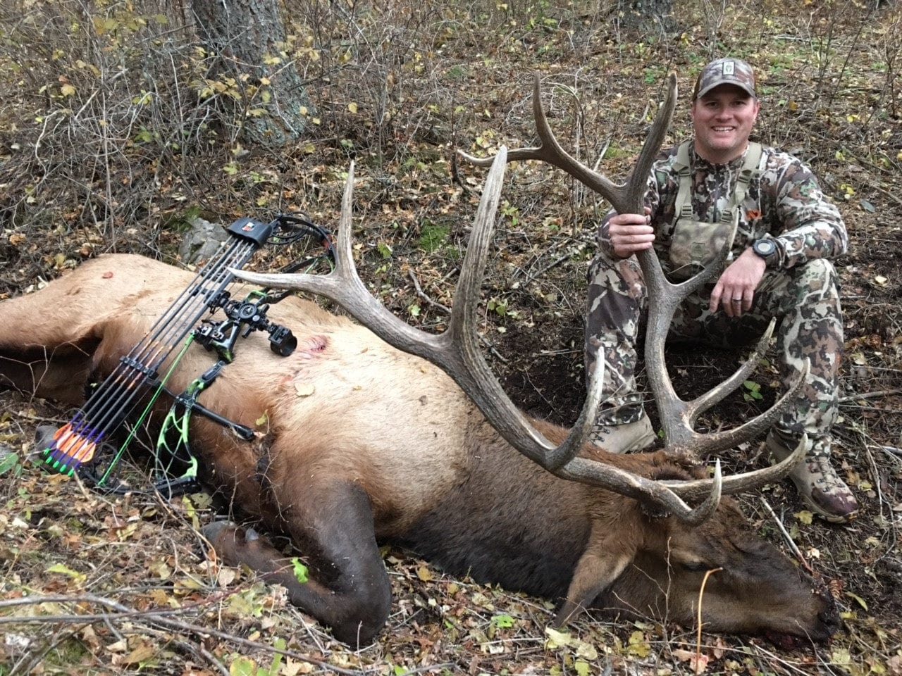 best broadheads for elk