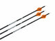 Tooth of the Arrow Broadheads Arrows TOTA | Fletched Hunting Arrows | The Arrow .204”