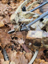 Tooth of the Arrow Broadheads Broadheads & Field Points TOTA | 100 grain broadhead | 1-inch vented | fixed blade