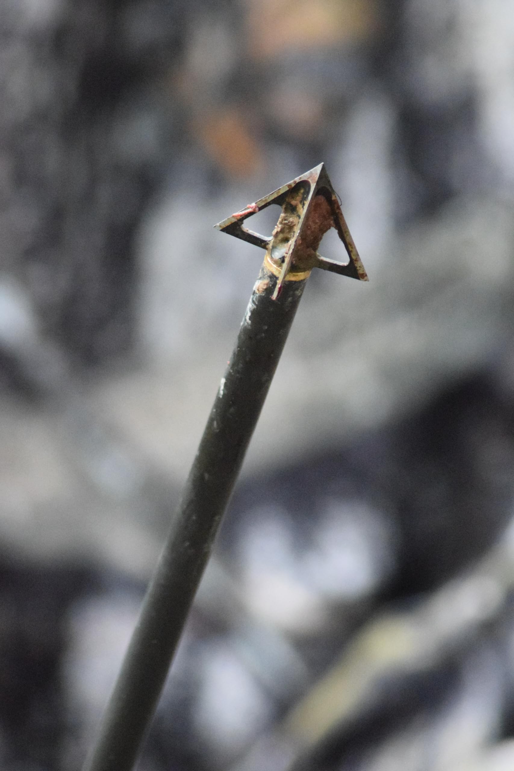 Tooth of the Arrow Broadheads Broadheads & Field Points TOTA | 100 grain broadhead | 1-inch vented | fixed blade